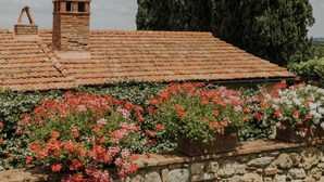 Un bâtiment avec un toit en tuiles, un mur en pierre et des plantes en pot.