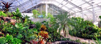 2 Full Kitchens XL Groups HUGE Fenced Yard & Parks