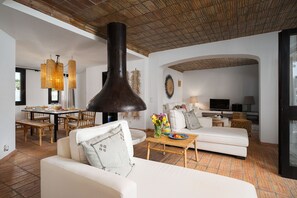 TV, fireplace