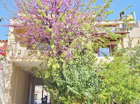 Front of property. B&B Ametista