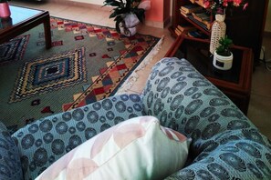 Télévision, lecteur de DVD, livres