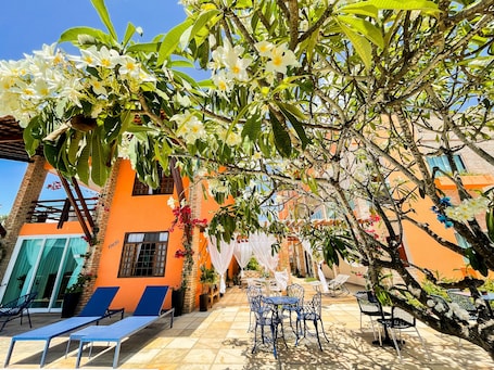 An outdoor seating area with lounge chairs and tables, surrounded by flowering trees and a building with orange walls.