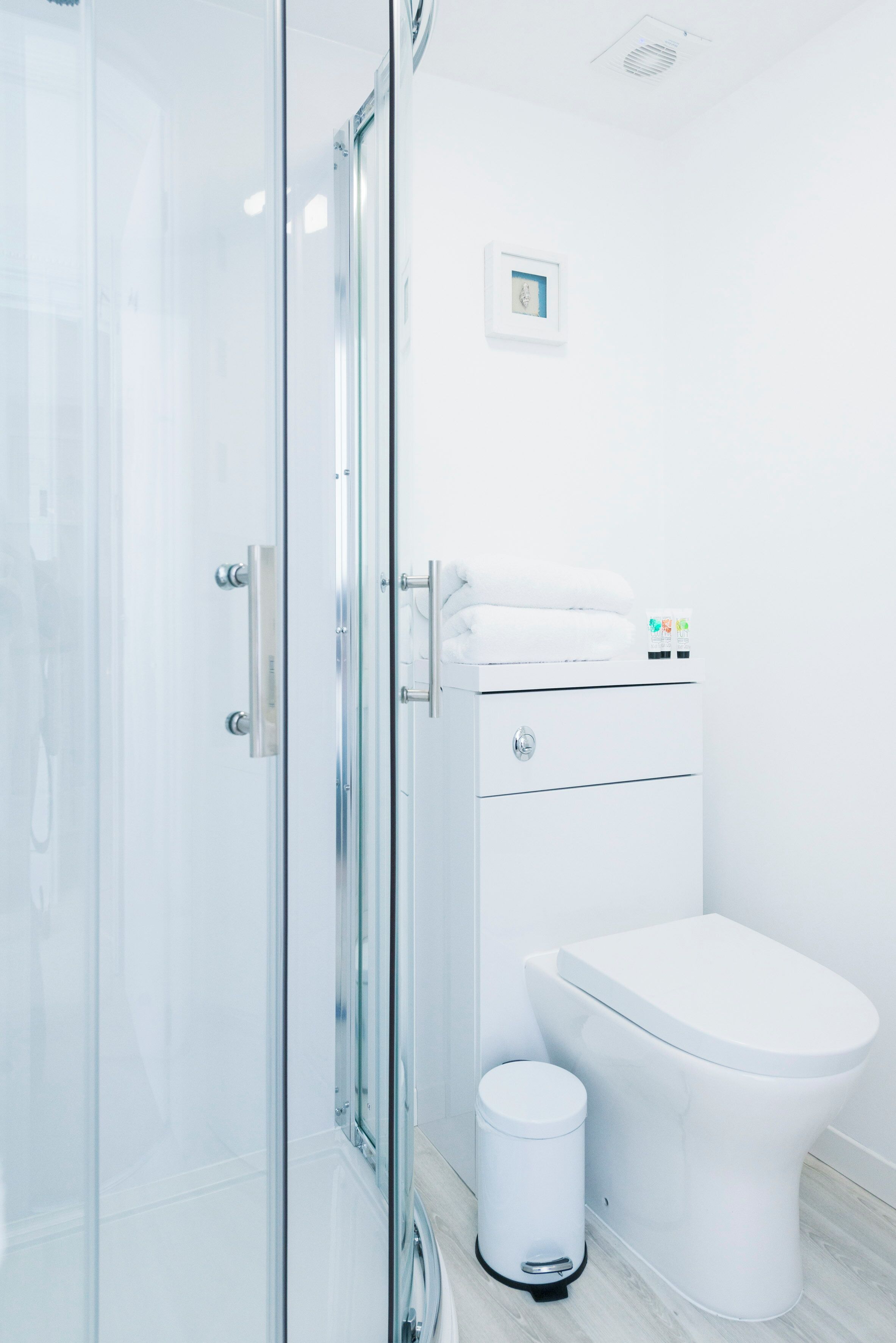 A modern bathroom with a glass shower enclosure, a white toilet, and a trash bin.
