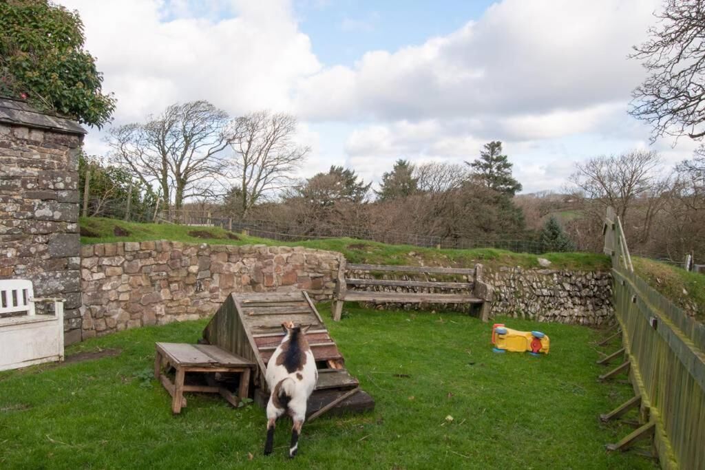 A stable with a horse, a wooden table, and a yellow toy.