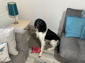 Cottage, 3 Bedrooms (Rowan) | Living area | Toys - Fosfelle Cottages (Bideford)