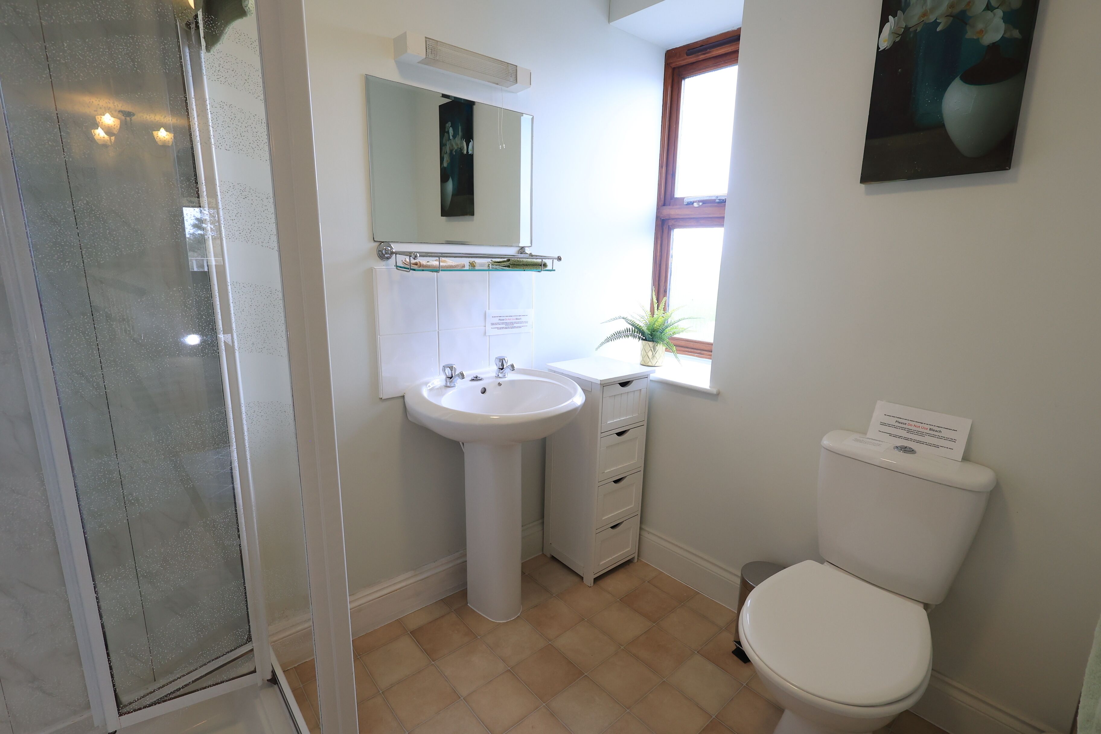 A bathroom with a white sink, mirror, and toilet. There is a window with a plant on the windowsill.