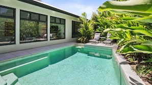 A modern house with a swimming pool, large windows, and lush greenery. - House Heliconia | Luxury Palm Cove Retreat with Private Pool & Lush Gardens (Palm Cove)