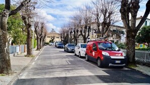 Une rue bordée d’arbres et de voitures garées, dont une voiture rouge avec une plaque d’immatriculation bien visible.