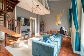 TV - Large bright duplex in Bordeaux (Bordeaux)