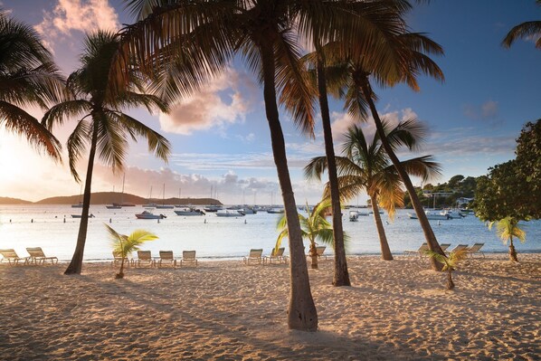 A beach with palm trees, lounge chairs, and boats in the water. - Beautiful Secluded Island Getaway (St. Thomas)