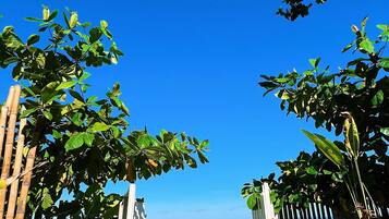 Vila Keluarga, 3 kamar tidur, pemandangan pantai, tepi pantai (Three-Bedroom Beachfront Villa) | Interior