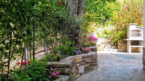 Property grounds - Cilento Holiday Apartment with Private Garden and Parking, Close to the Beach (Montecorice)