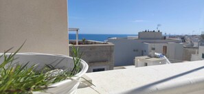 A balcony with a potted plant, a view of the sea, and buildings in the background.