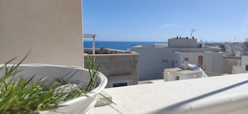 En balkon med en plantekasse, havudsigt og bygninger i baggrunden.