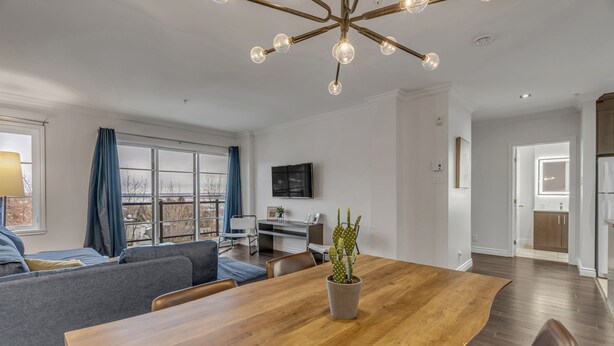 Een moderne woonkamer met een houten eettafel, een bank en een cactus.