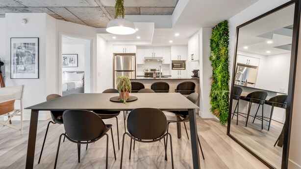 A modern kitchen with white cabinets, stainless steel appliances, and a hanging plant.