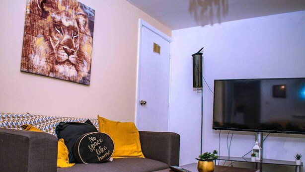 Un salon avec un canapé, une table basse, un téléviseur et un tableau accroché au mur.