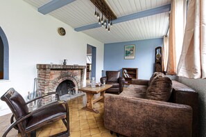 Una televisión, una chimenea, libros