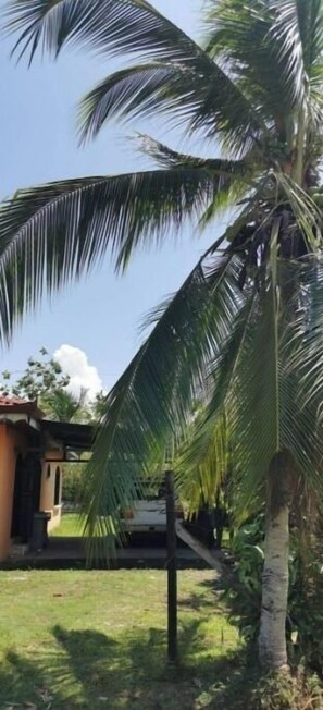 Property grounds - Vacation House in Sierpe Osa (Sierpe)