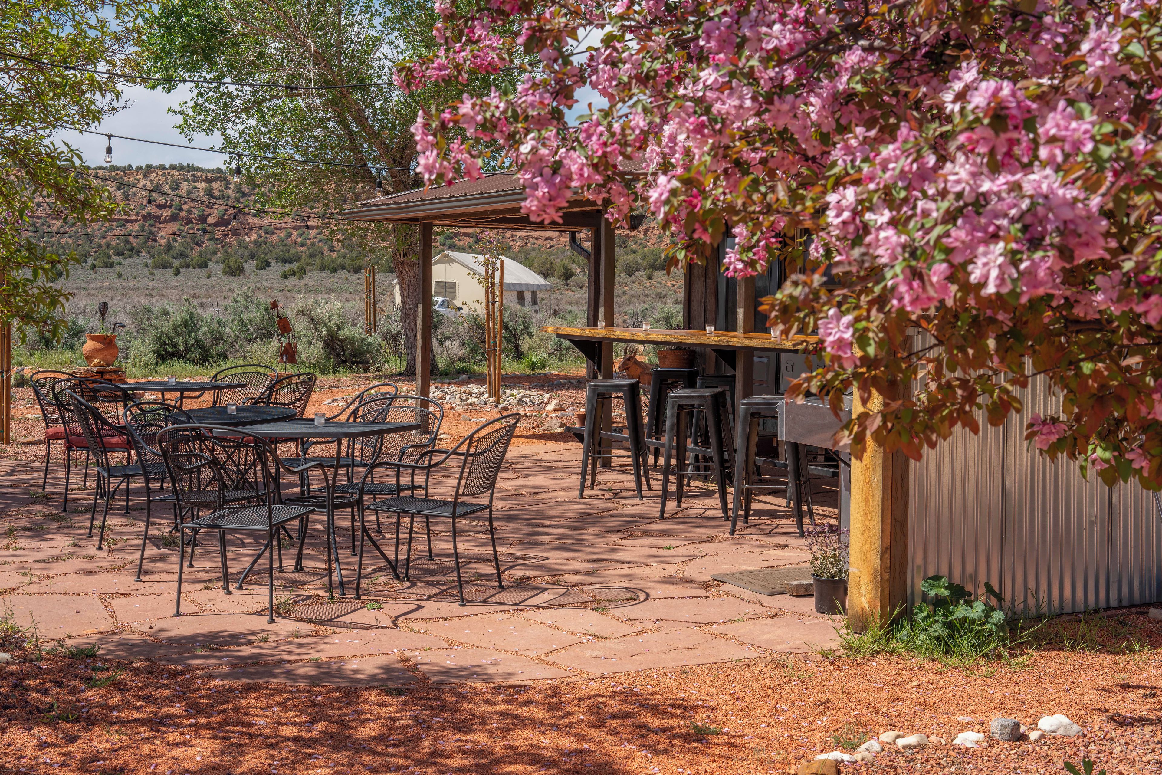 Une terrasse extérieure avec des tables et des chaises, une pergola ornée de fleurs roses et une vue sur un paysage désertique.