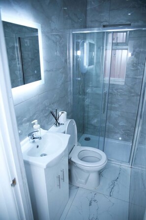 Hair dryer, towels, toilet paper