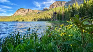 A lake surrounded by mountains and dense forest.
