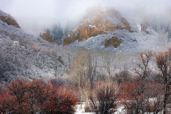 Un paisaje montañoso con árboles cubiertos de nieve y afloramientos rocosos.