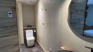 Een kleine badkamer met toilet, wastafel en spiegel.