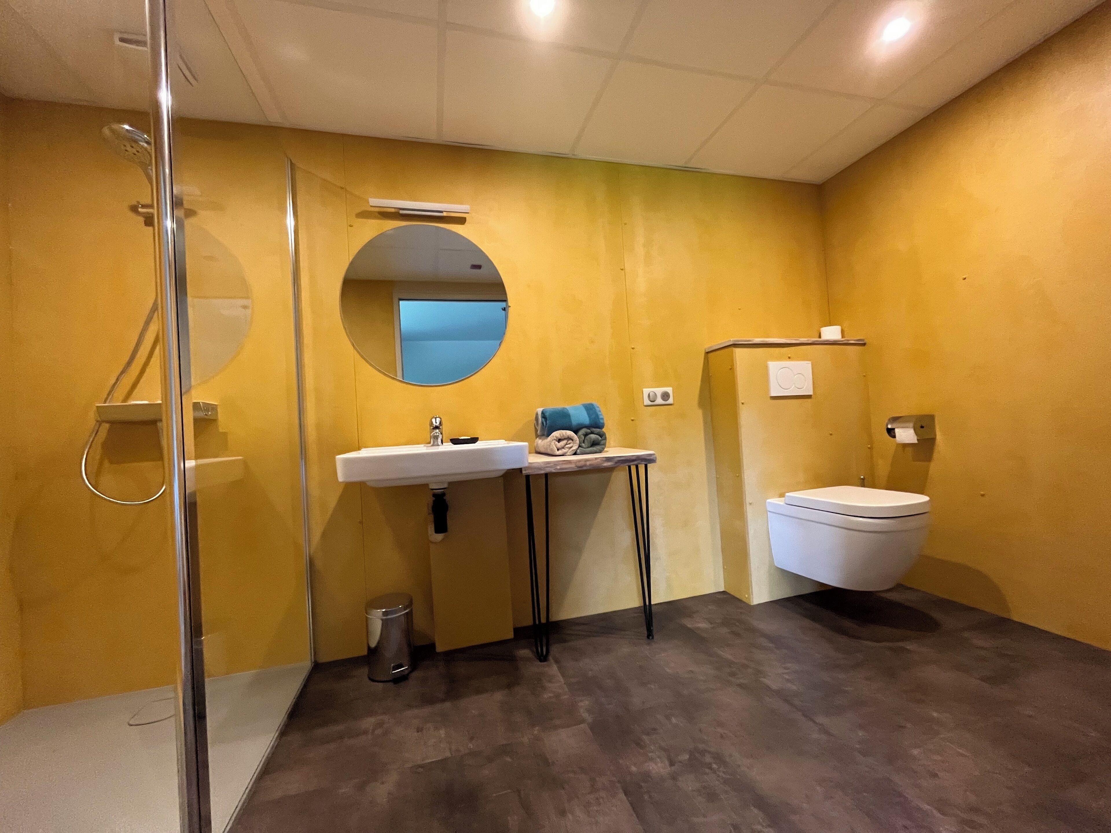 Un baño con ducha, lavabo, inodoro y espejo.