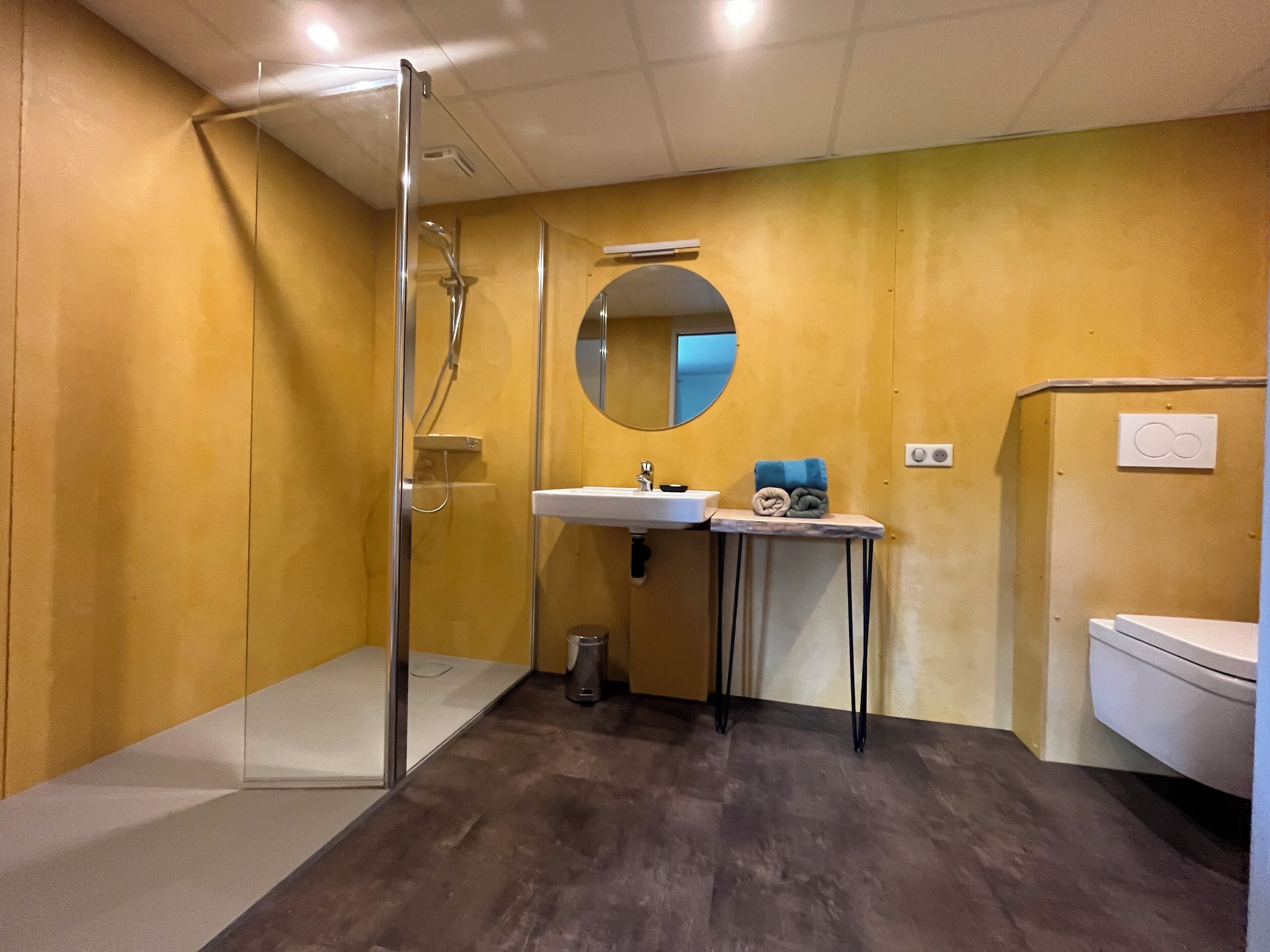 Une salle de bain moderne avec une douche à parois de verre, un lavabo avec un miroir et des toilettes.