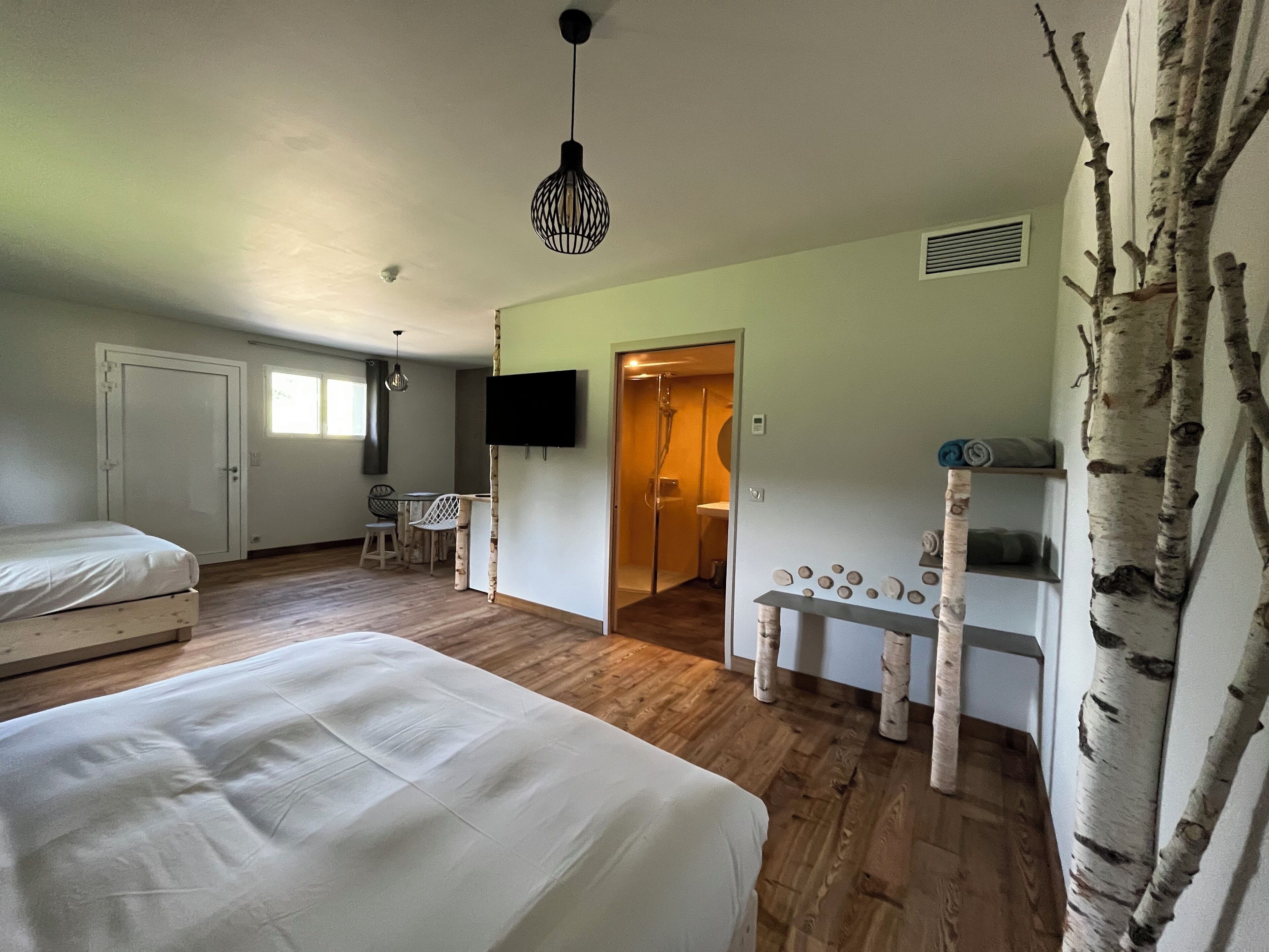 A bedroom with two beds, a TV, a small table, and a shower area.