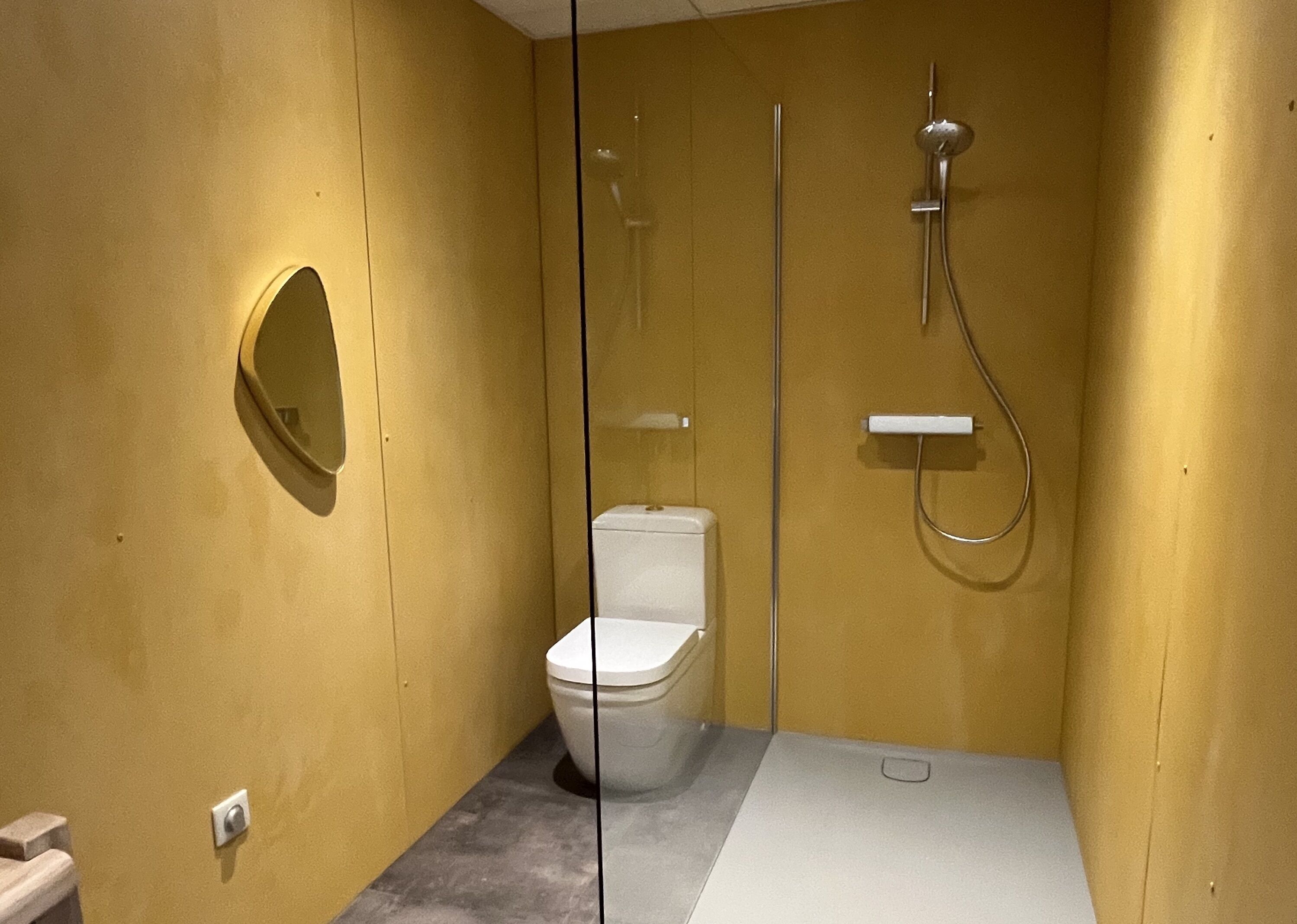 A modern bathroom with a toilet, a shower, and a mirror.