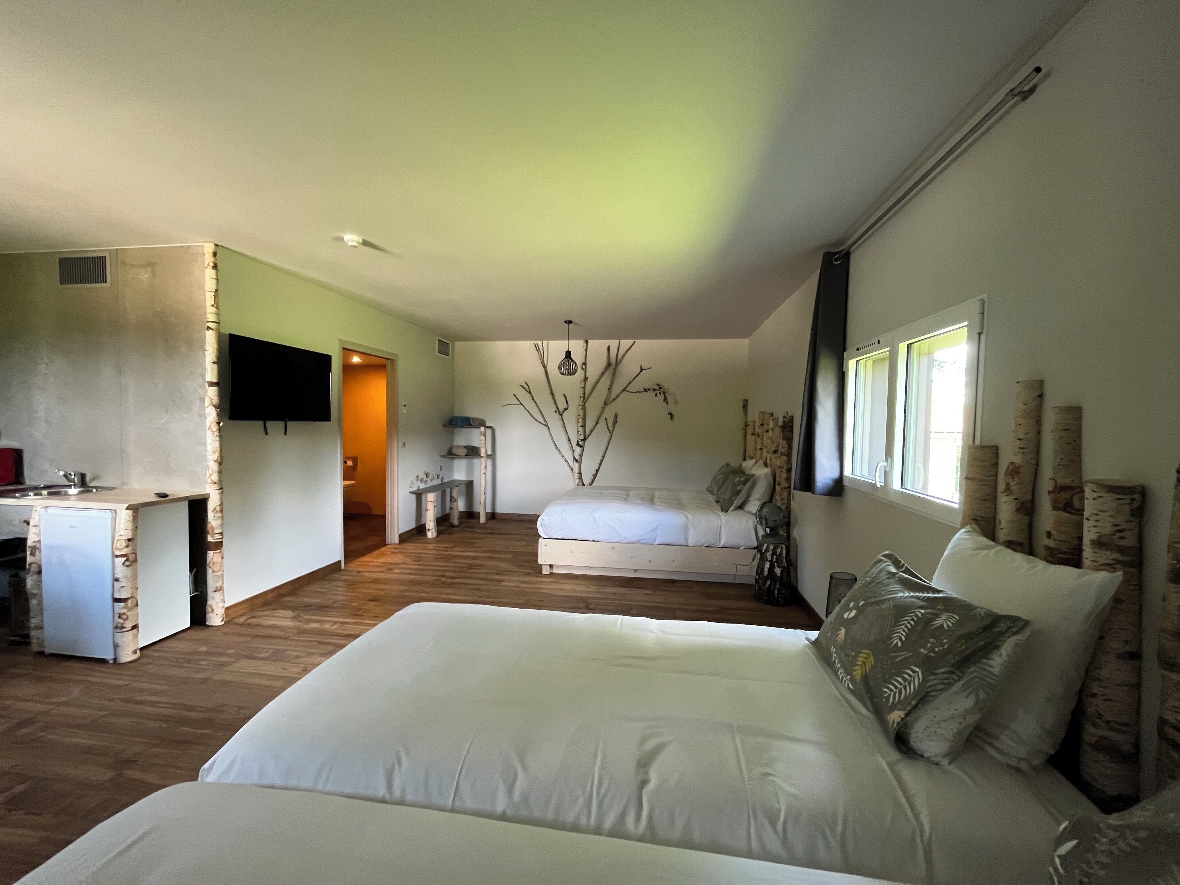 Un dormitorio con cama, escritorio, silla y televisor.