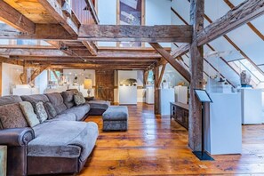 TV, fireplace, books