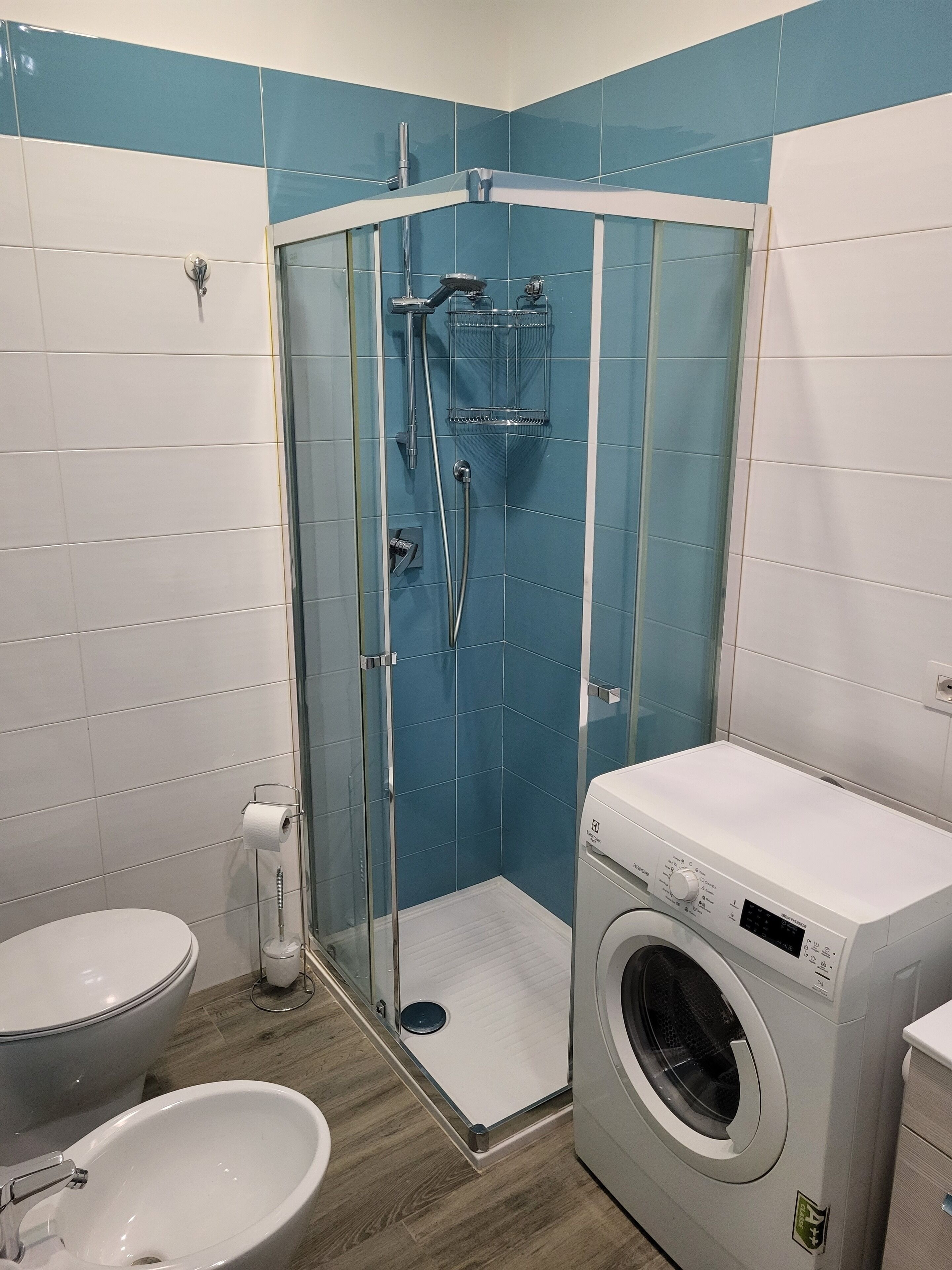 Shower, hair dryer, bidet, towels