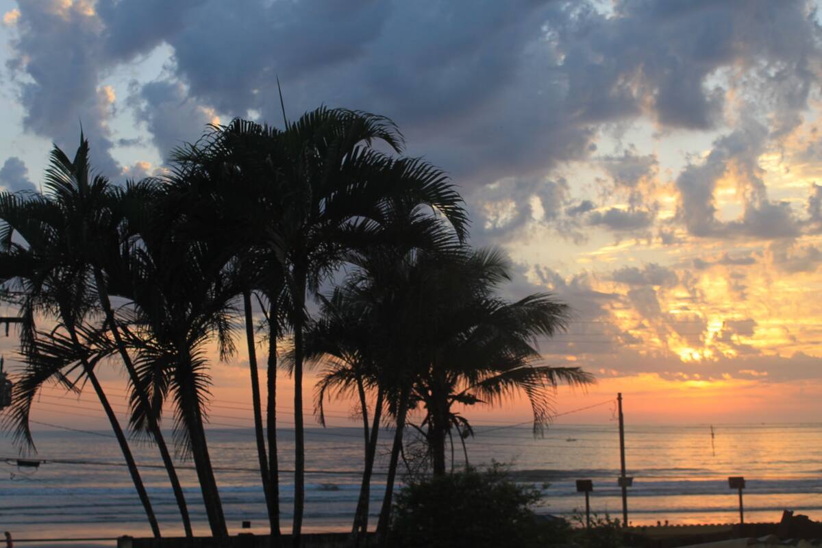 A sunset view with palm trees silhouetted against the sky.