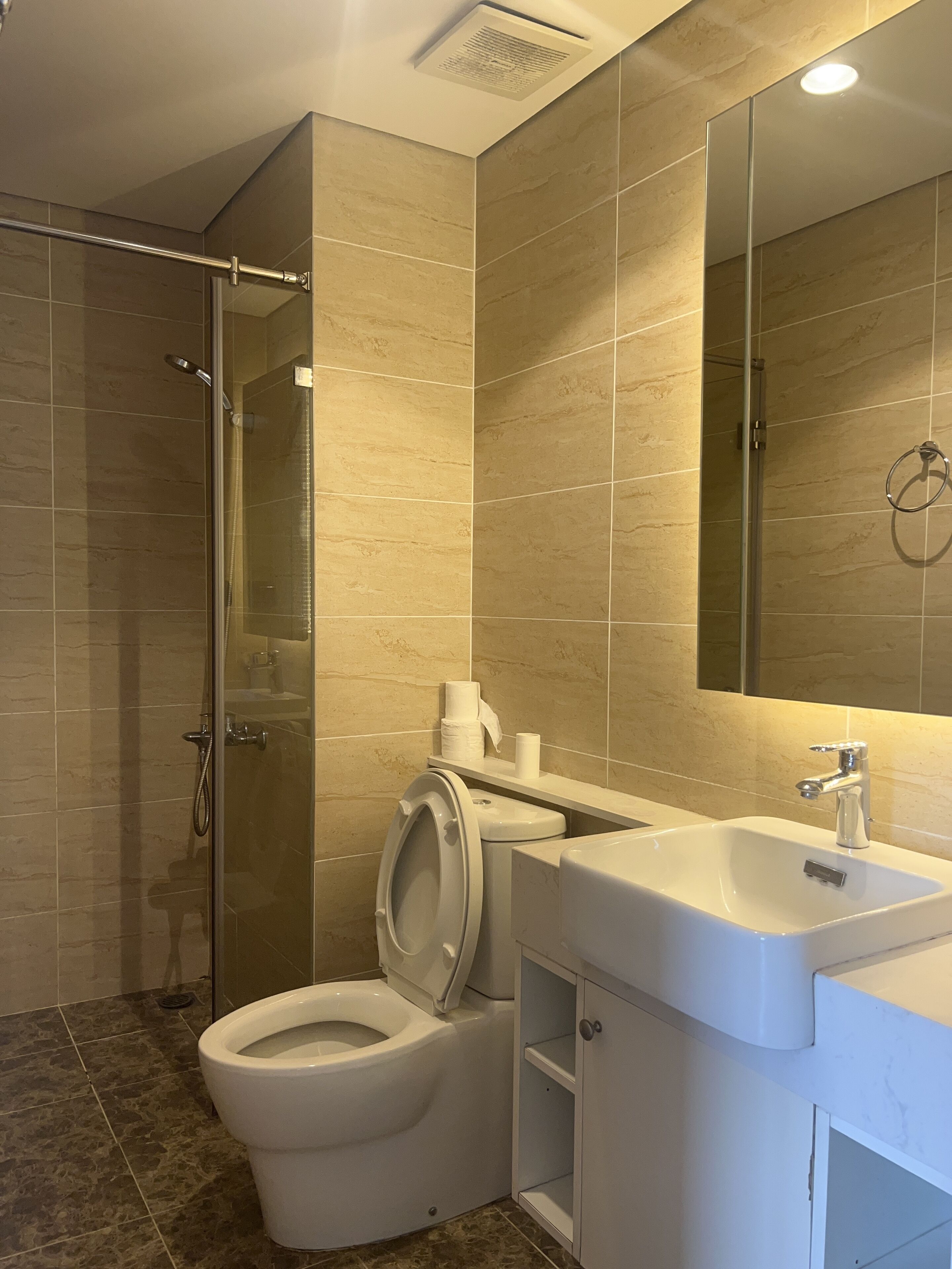 Ein modernes Badezimmer mit Duschkabine, Toilette und Waschbecken mit Spiegel darüber.