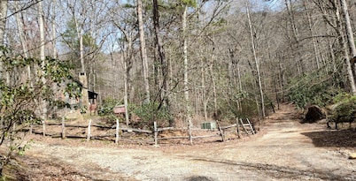 Creekside Peaceful Cabin - Dog Friendly!