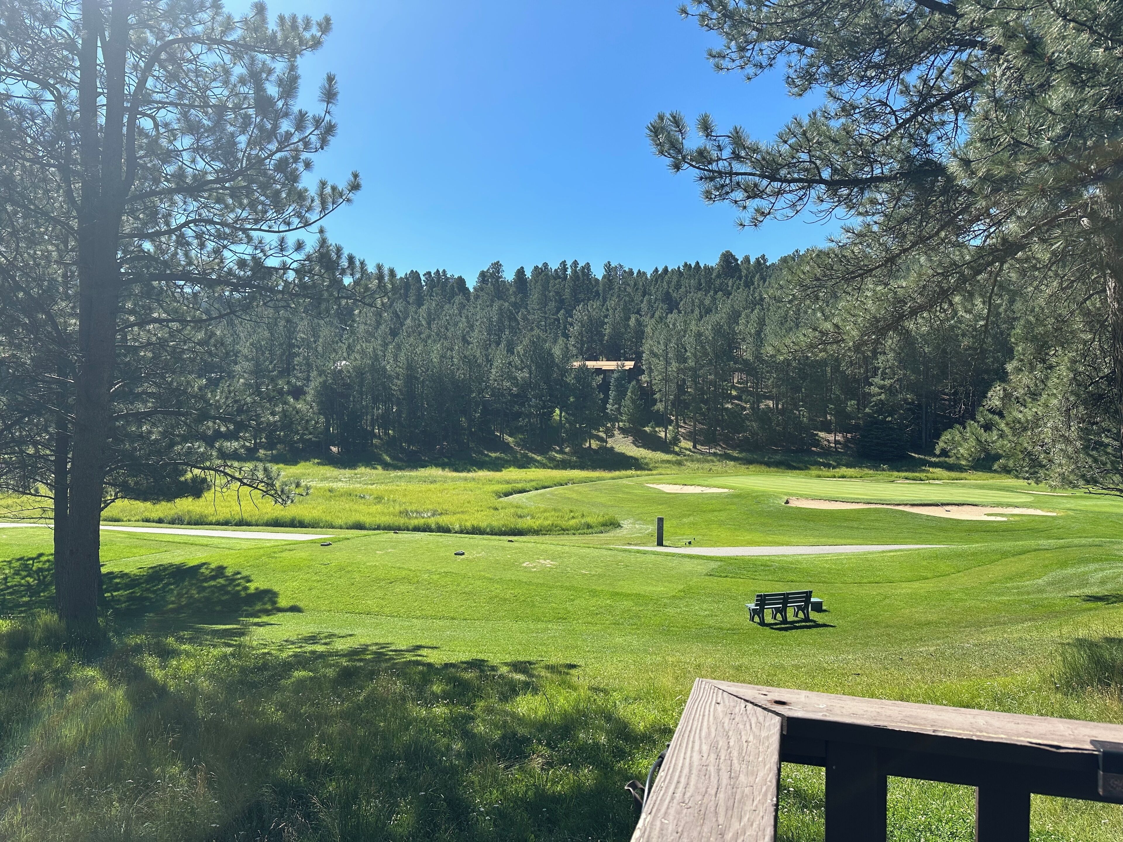Campo de golf con un banco de madera, rodeado de árboles densos y un cielo despejado.