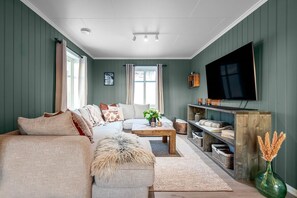 Fernseher, Kamin, Arbeitsbereiche