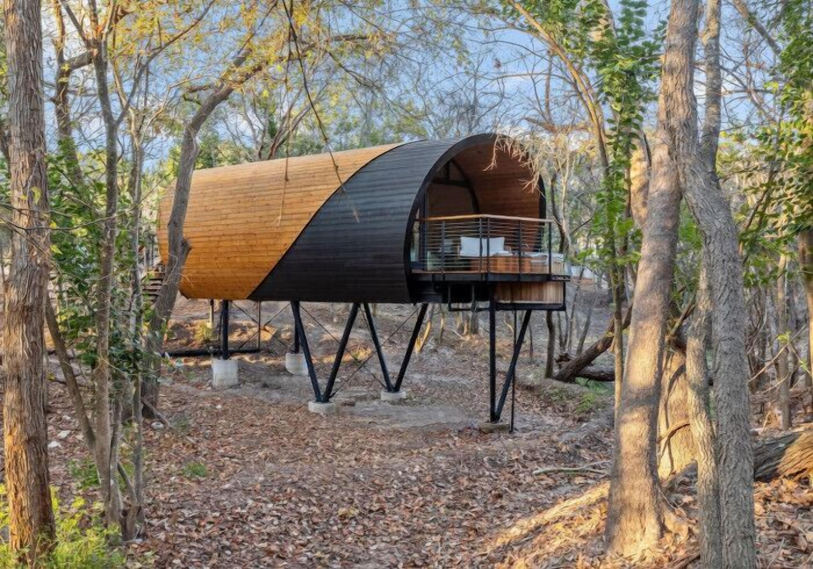 A modern, wooden, dome-shaped structure in a forest setting.