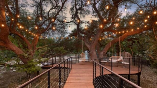 Un sentier en bois mène à un belvédère situé sous un grand arbre, l’ensemble étant entouré d’une rambarde en métal et illuminé de guirlandes lumineuses.