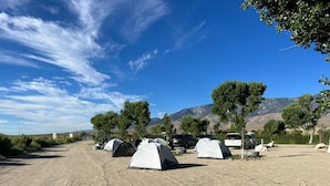 Un terrain de camping avec plusieurs tentes et des voitures garées sur un chemin de terre, entouré d’arbres et avec des montagnes en arrière-plan.