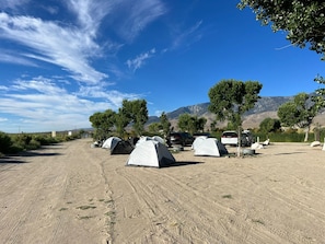 Ein Campingplatz mit Zelten, Bäumen und einer Bergkulisse.