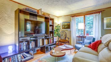 Fernseher, Kamin, Videospiele, DVD-Player