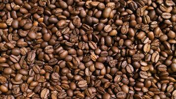 Primer plano de gran cantidad de granos de café.