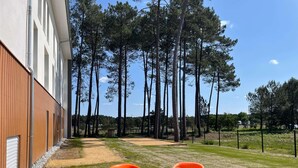 Une terrasse avec une table ronde en bois et des chaises orange, entourée de grands pins.