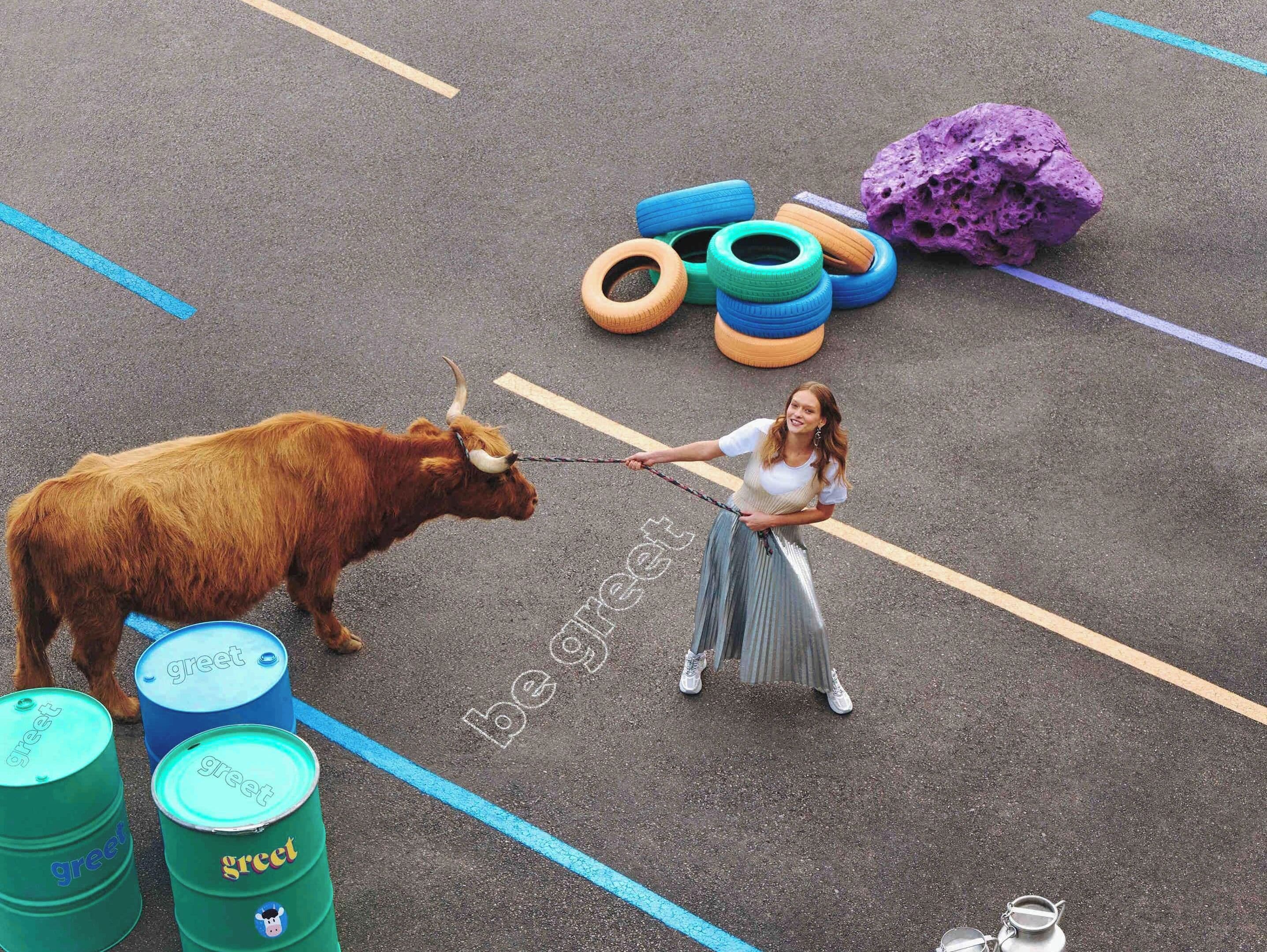 A parking lot with a bull, a person leading the bull, and colorful barrels with 'greet' written on them.