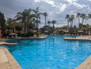 Une piscine entourée de palmiers et d’immeubles, avec des chaises longues et des parasols.