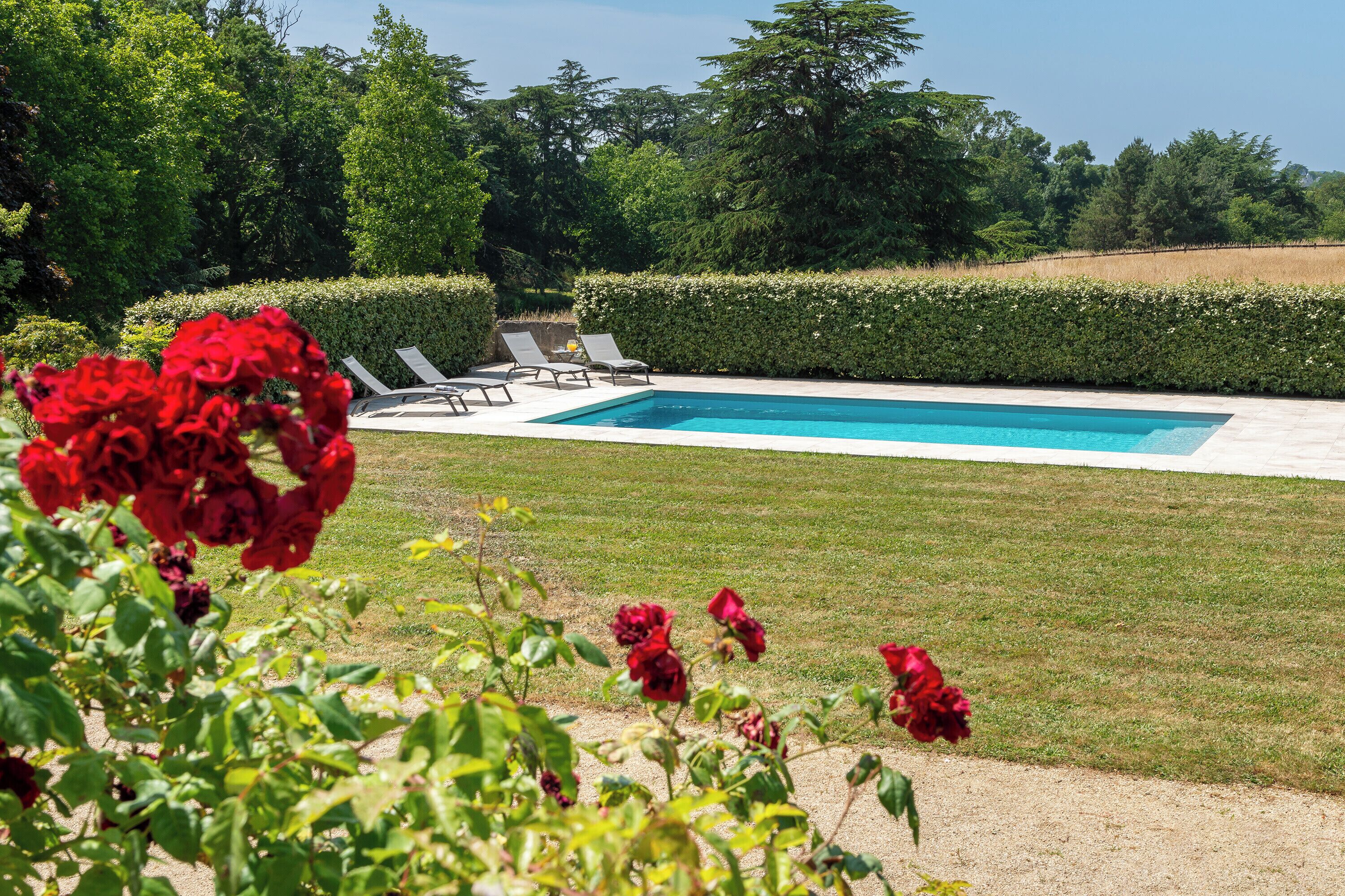 A swimming pool with lounge chairs, surrounded by well-maintained grass and hedges.